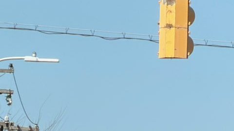 Las autoridades calificaron el hecho como un incidente de “tirador activo” y pidieron al público evitar la zona mientras continúa la investigación.