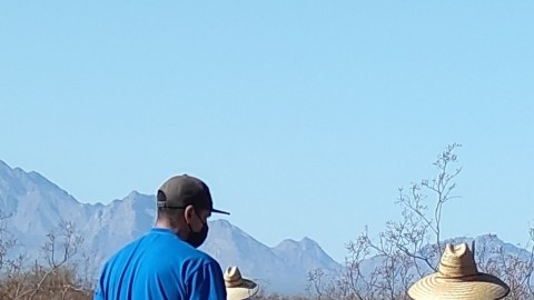 Hallazgo de fosas clandestinas