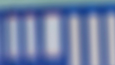 Modelo de hígado humano en exhibición en un consultorio médico