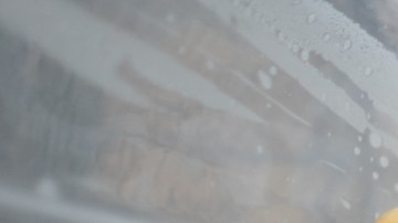 Una dosis única de ingrediente activo de "hongos mágicos" podría ayudar a fumadores a dejar el tabaco