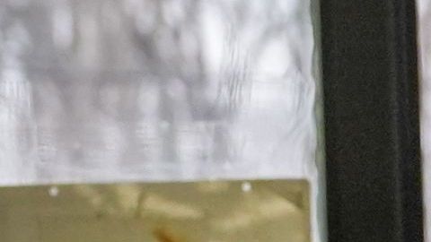ICE confirma la muerte de 11 inmoigrantes bajo su resguardo