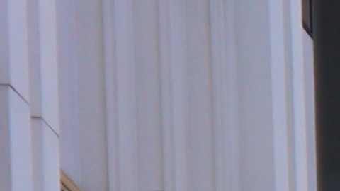 El Departamento de Policía de Long respondió a una llamada sobre el tiroteo alrededor de las 3:30 p.m.