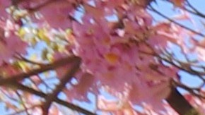 Los manifestantes dijeron que ICE  no hace más segura a la comunidad.