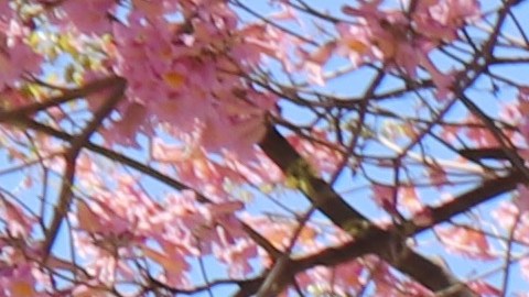 Los manifestantes dijeron que ICE  no hace más segura a la comunidad.