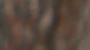 Los conserjes de NBCUniversal festejan haber reconquistado sus empleos.