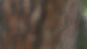 Los conserjes de NBCUniversal festejan haber reconquistado sus empleos.