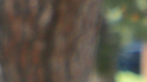 Los conserjes de NBCUniversal festejan haber reconquistado sus empleos.