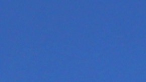 Los manifestantes pudieron conectarse por video llamada con los inmigrantes deteniudos.