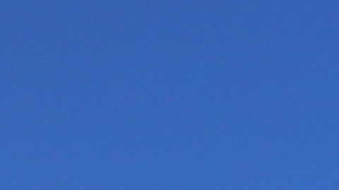 Los manifestantes pudieron conectarse por video llamada con los inmigrantes deteniudos.