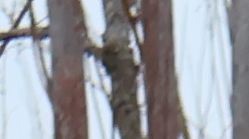 Los robots desarrollados por la IA se alejan completamente de los diseños humanoides de los que estamos acostumbrados