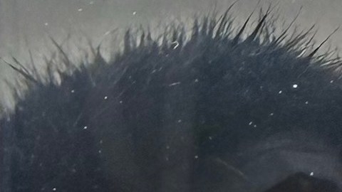 María Estrada con su hija Damaris Bello.