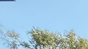 Susana Covarrubias del Hank Lacayo Youth, Family Community Center hace llamado a los Dodgers.