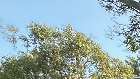 Susana Covarrubias del Hank Lacayo Youth, Family Community Center hace llamado a los Dodgers.