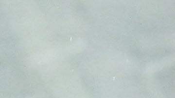 San Pedro Sula, Honduras, 14 de Noviembre de 2024. Guillermo Ochoa, durante el entrenamiento de la Selección Nacional de México previo a la ida de los Cuartos de Final de la Liga de Naciones de la CONCACAF 2024-2025 contra la Selección de Honduras, celebrado en el estadio Morazán. Foto: Imago7/ Etzel Espinosa