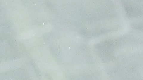 San Pedro Sula, Honduras, 14 de Noviembre de 2024. Guillermo Ochoa, durante el entrenamiento de la Selección Nacional de México previo a la ida de los Cuartos de Final de la Liga de Naciones de la CONCACAF 2024-2025 contra la Selección de Honduras, celebrado en el estadio Morazán. Foto: Imago7/ Etzel Espinosa