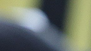 Miguel Herrera llamó a futbolistas naturalizados durante su etapa en El Tri.