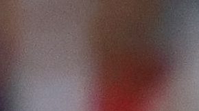 Fernando Gago dirigió a Chivas y Necaxa en la Liga MX.