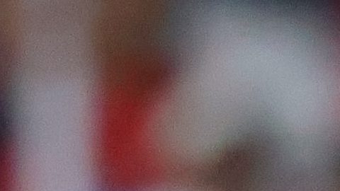 Fernando Gago dirigió a Chivas y Necaxa en la Liga MX.