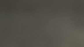 Domenec Torrent dejó de ser el DT de Rayados este lunes.