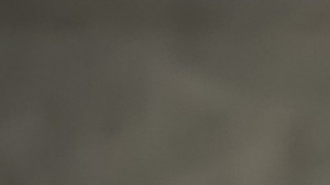 Domenec Torrent dejó de ser el DT de Rayados este lunes.