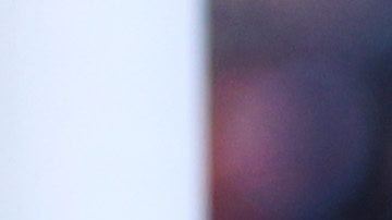 Zapopan, Jalisco, 17 de enero de 2026. Armando González en festejo de gol, durante el partido correspondiente a la jornada 3 del torneo Clausura 2026 de la Liga BBVA MX, las Chivas Rayadas del Guadalajara y los Gallos Blancos del Querétaro, realizado en el estadio Akron. Foto: Imago7/ Juan Carlos Cubeyro.