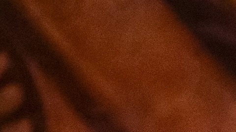 Gilberto Mora se sigue recuperando de una pubalgia.