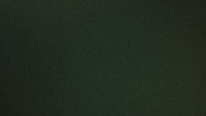 Javier Aguirre estuvo en el Coliseo observando a Fidalgo.