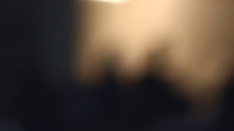 Domenec Torrent no dejó buenas impresiones en Monterrey.