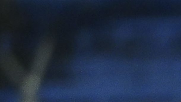 Ciudad de México, 4 de marzo de 2026. @@@@@, durante el partido correspondiente a la jornada 9 del torneo Clausura 2026 de la Liga BBVA MX, entre las Águilas del América y los Bravos de FC Juárez, realizado en el estadio Ciudad de los Deportes. Foto: Imago7/ Etzel Espinosa