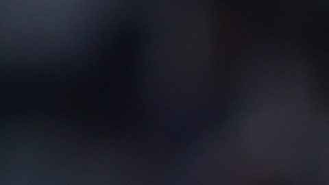 Jugadores de Cruz Azul celebran la victoria que sacaron de Monterrey.