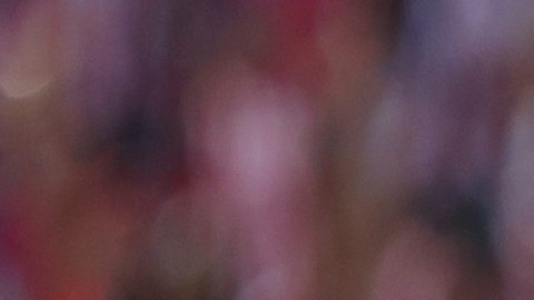 Zapopan, Jalisco, 14 de marzo de 2026. , durante el partido correspondiente a la jornada 11 del torneo Clausura 2026 de la Liga BBVA MX, entre las Chivas Rayadas del Guadalajara y los Guerreros de Santos Laguna, realizado en el estadio Akron. Foto: Imago7/Cristian Hernández