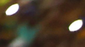 Los Tigres superaron 5-4 a Cincinnati en el global.