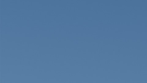 Instalan más de 200 vallas publicitarias contra el ICE en ciudades de Estados Unidos