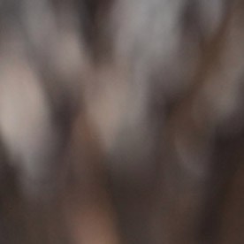 James Talarico, candidato demócrata al Senado