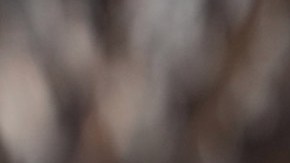 James Talarico, candidato demócrata al Senado