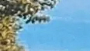 Abuelo de 82 años es objeto de estudio por tener una edad metabólica de alguien de 20