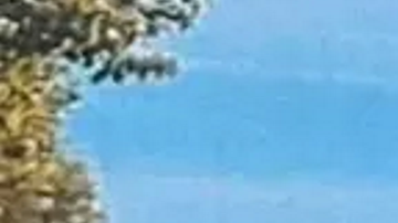 Abuelo de 82 años es objeto de estudio por tener una edad metabólica de alguien de 20