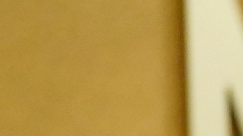 ¡Conoce a los mejores vestidos de los Actor Awards 2026!