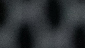 Kesha arremete contra la Casa Blanca por usar su canción en un video: "Es repugnante e inhumano"