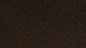 Jose Antonio Garcia, from left, Florencia Martin, Leonardo DiCaprio, Cassandra Kulukundis, Regina Hall, Shayna McHale, Teyana Taylor, Michael Bauman, Paul Thomas Anderson, Anthony Carlino, Will Weike, Sara Murphy, Chase Infiniti, Christopher Scarabosio, and Andy Jurgensen accept the award for best picture award for "One Battle After Another" during the Oscars on Sunday, March 15, 2026, at the Dolby Theatre in Los Angeles. (AP Photo/Chris Pizzello)