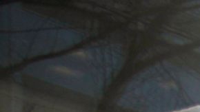 La falta de apoyo del SBA a los empresarios inmigrantes podría impactar a millones de trabajadores.