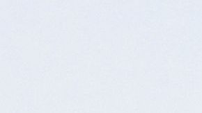 La representante Carla Cunningham, demócrata habla durante una sesión legislativa de Carolina del Norte.