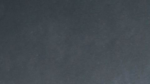 Laura Zapata Thalía