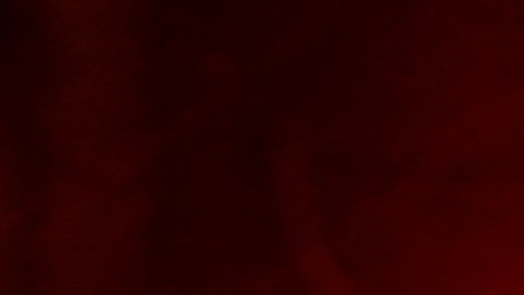 FILE - Shown is a Philadelphia police car with flashing lights in Philadelphia, Monday, Jan. 17, 2022. The Philadelphia Lodge of the Fraternal Order of Police has filed a lawsuit Wednesday, Feb. 23, 2022 seeking to stop a city law banning officers from pulling over drivers for low-level offenses from going into effect saying the law illegally pre-empts existing state laws on traffic violations. (AP Photo/Matt Rourke, File)