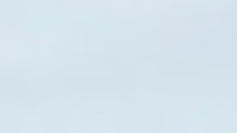 La liberación de la familia Gámez-Cuéllar fue confirmada por legisladores federales, entre ellos los congresistas Joaquín Castro y Mónica de la Cruz.