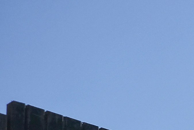 México suma 47 arrestos relacionados con “campo de exterminio” del narcotráfico