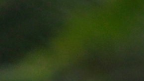 Miguel Uribe murió en agosto de 2025.