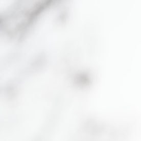 Mike Pence, exvicepresidente estadounidense