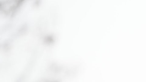 Mike Pence, exvicepresidente estadounidense