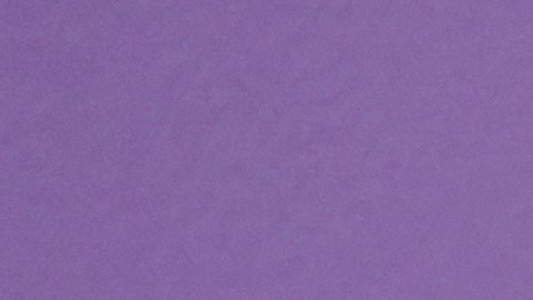 En fotos: así se vivió el estreno del especial del 20 aniversario de Hannah Montana